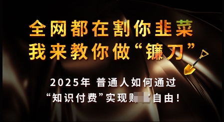 知识付费如何做到月入过W+，2025我来教你做“镰刀”【揭秘】-七何路